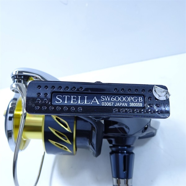 １３ステラＳＷ６０００ＰＧ